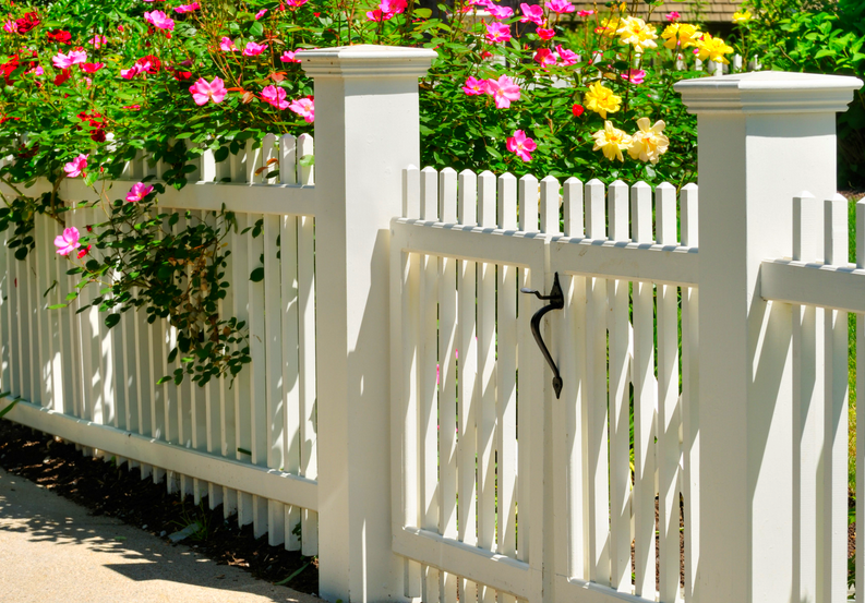 Picket Fence Wood